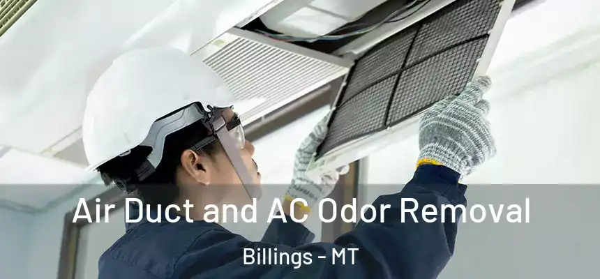  Air Duct and AC Odor Removal Billings - MT