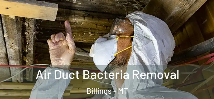Air Duct Bacteria Removal Billings - MT