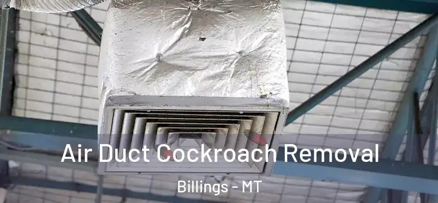 Air Duct Cockroach Removal Billings - MT
