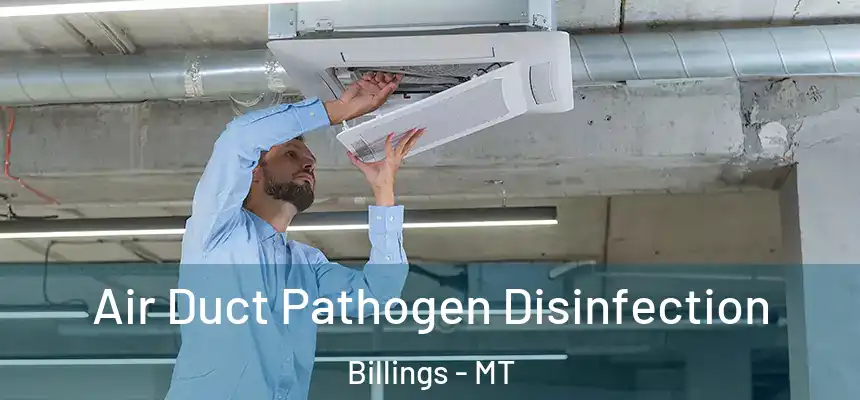 Air Duct Pathogen Disinfection Billings - MT