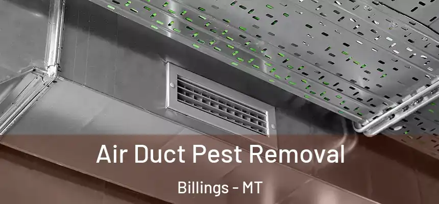  Air Duct Pest Removal Billings - MT