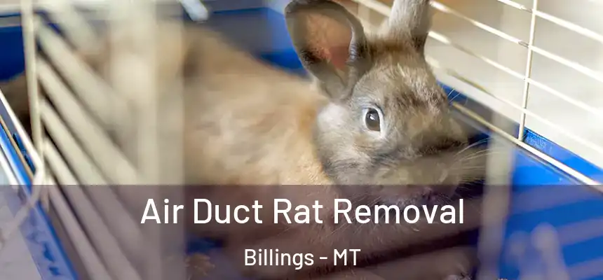  Air Duct Rat Removal Billings - MT
