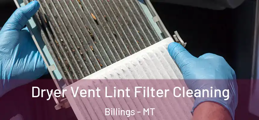 Dryer Vent Lint Filter Cleaning Billings - MT