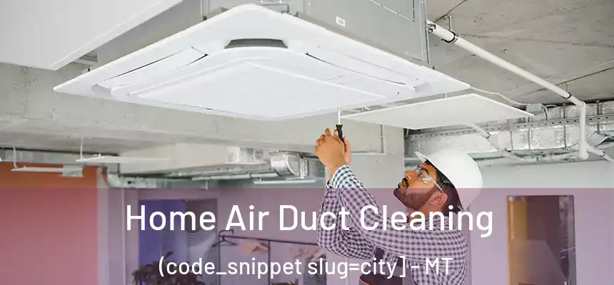  Home Air Duct Cleaning (code_snippet slug=city] - MT