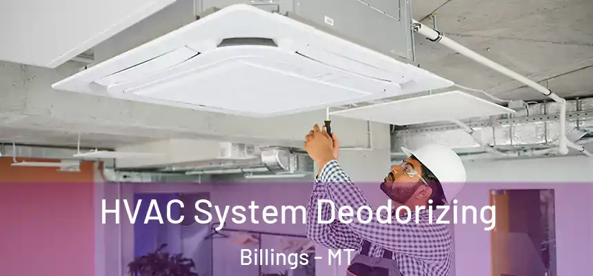 HVAC System Deodorizing Billings - MT