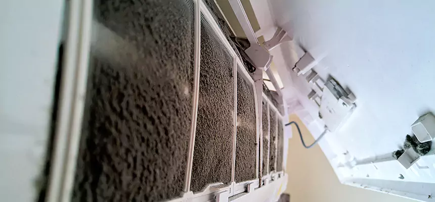 Preventive Air Duct Bacteria Removal in Billings