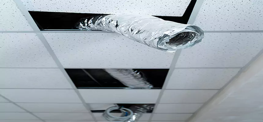 Affordable HVAC Sanitizing After Pest Removal in Billings