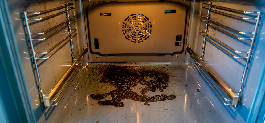 Our Dryer Vent Mold Cleaning Services in Billings, MT