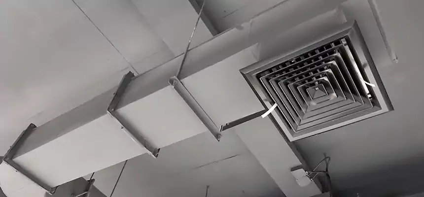 Our Pest Removal From Ducts Services in Billings, MT