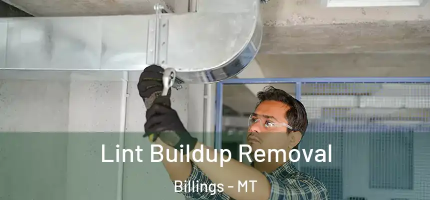 Lint Buildup Removal Billings - MT