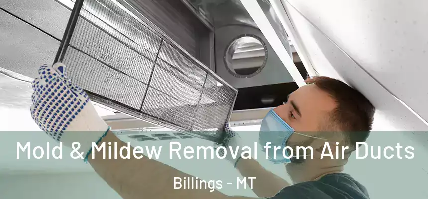 Mold & Mildew Removal from Air Ducts Billings - MT