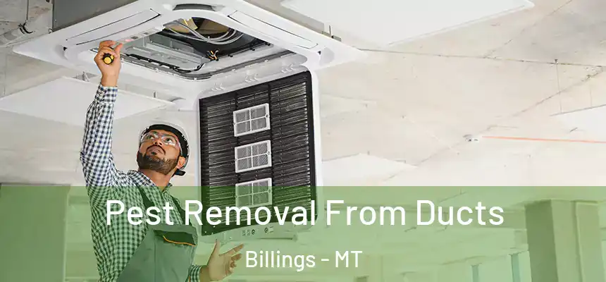 Pest Removal From Ducts Billings - MT