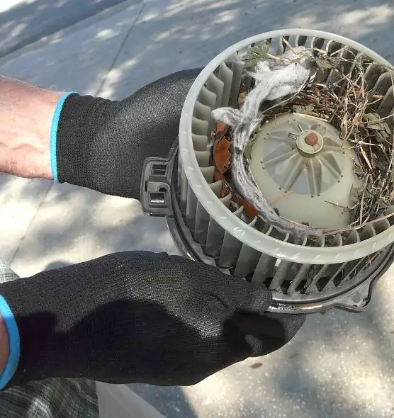 About Air Duct Mice Removal in Billings, MT