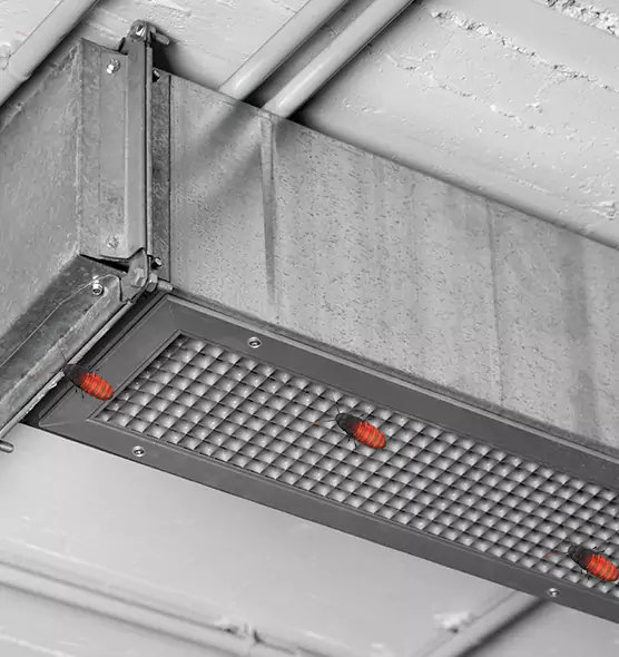 Affordable Insect Removal from Air Ducts in Billings, MT
